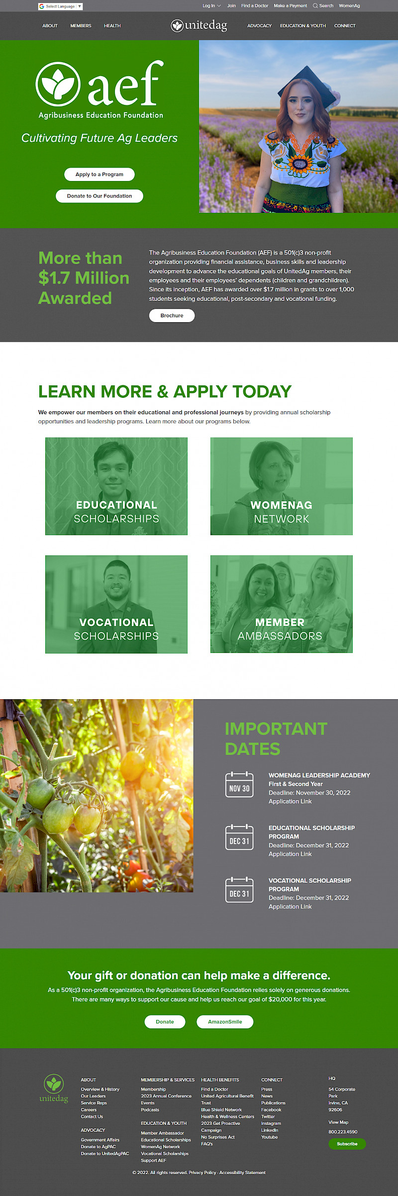 Project thumbnail image 15